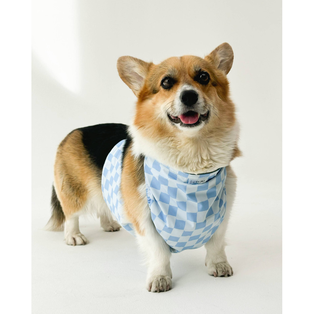 Напузник для коргі Snousey Blue for-boy