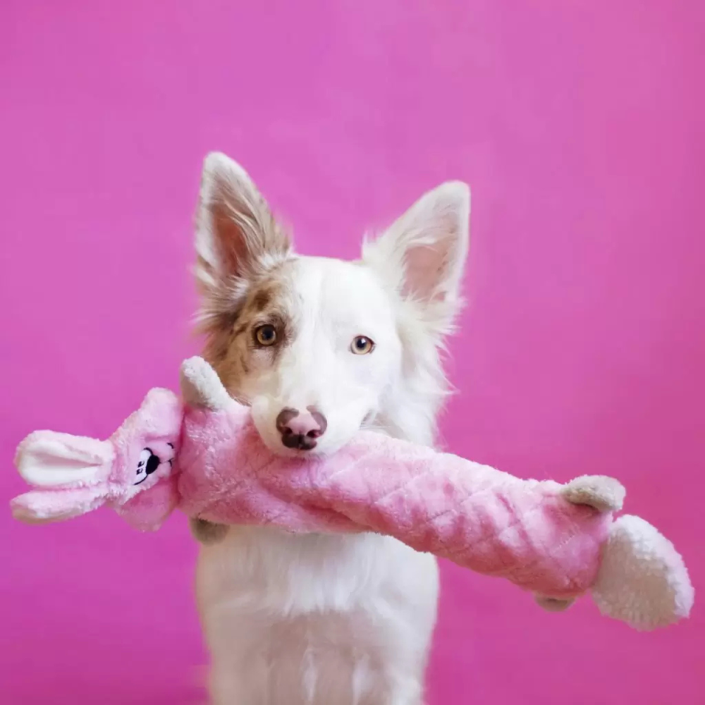 Іграшка для собак ZippyPaws Jigglerz® Bunny