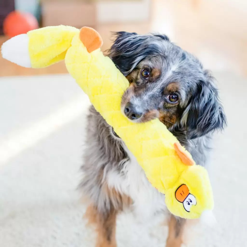 Іграшка для собак ZippyPaws Jigglerz® Duck