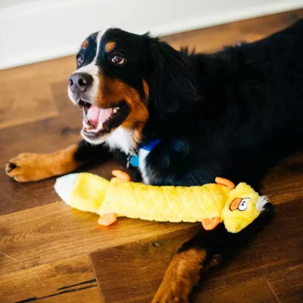 Іграшка для собак ZippyPaws Jigglerz® Duck