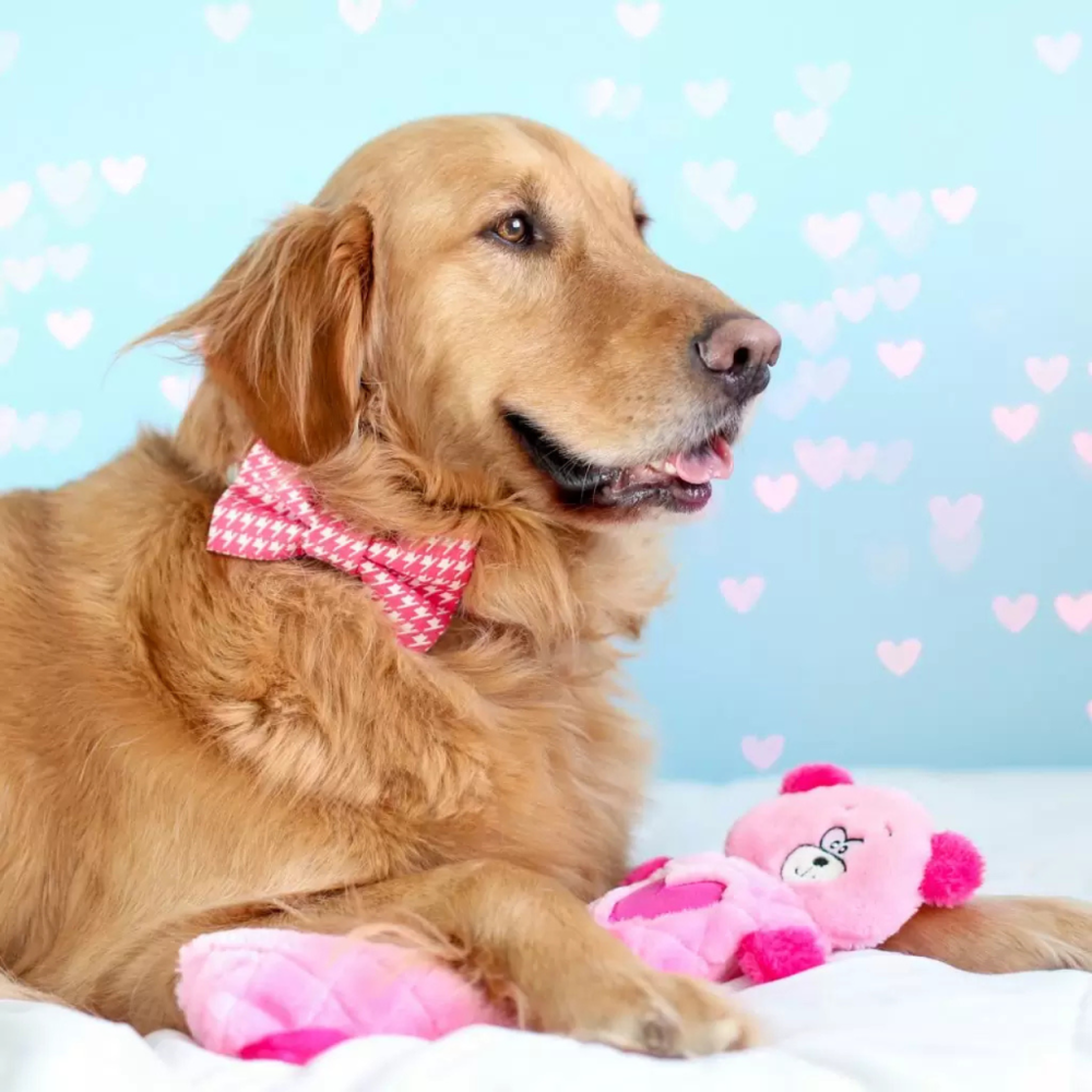 Іграшка для собак ZippyPaws Valentine's Jigglerz® Pink Bear
