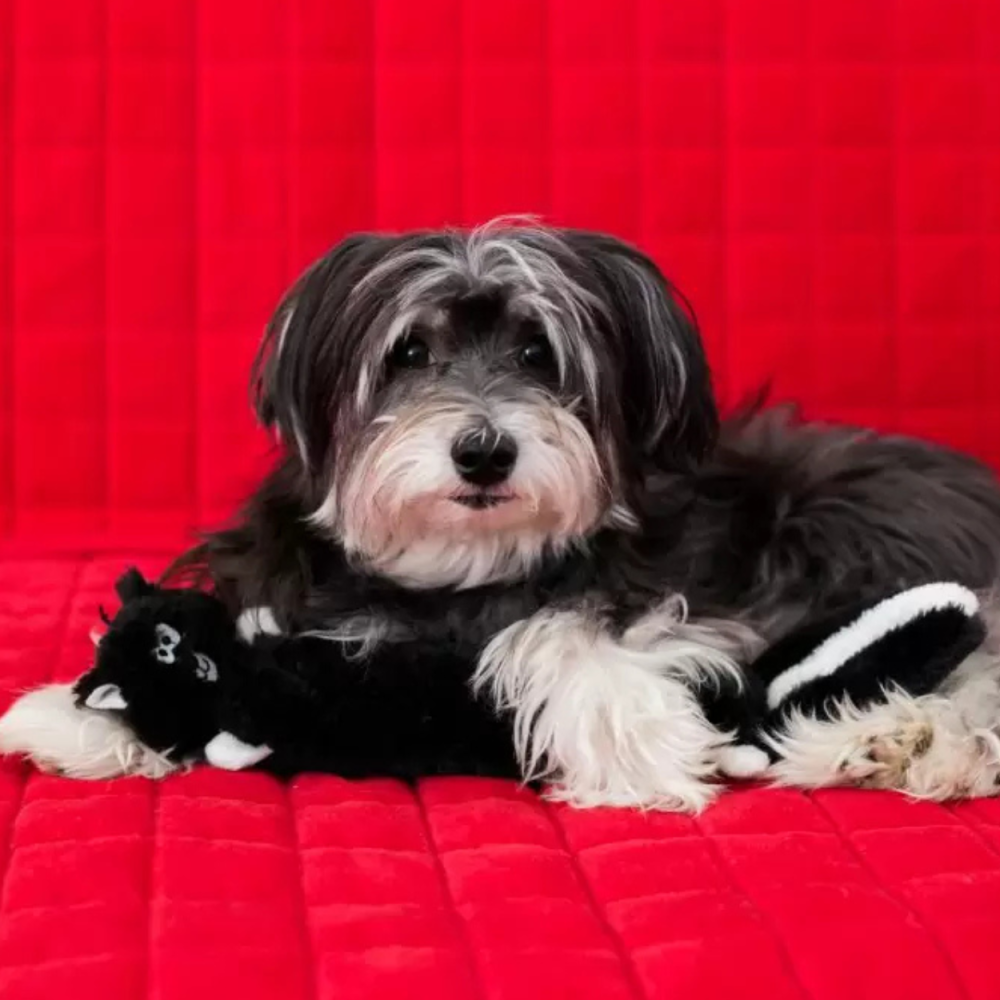 Іграшка для собак ZippyPaws Jigglerz® Skunk