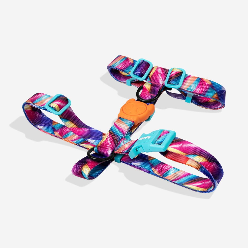 Шлея для собак Zee.Dog H3D Bounce, XS