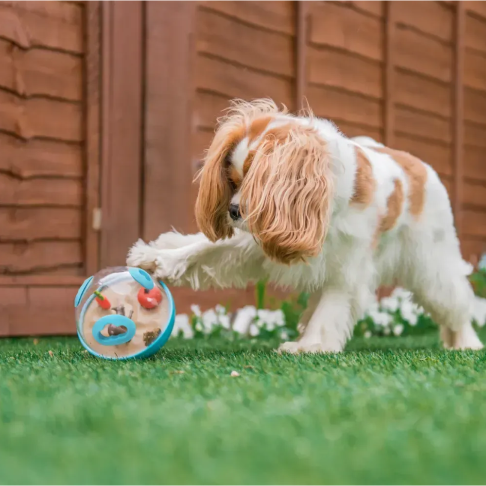 Іграшка для собак Pet Play Wobble Ball Toy 2.0, Blue