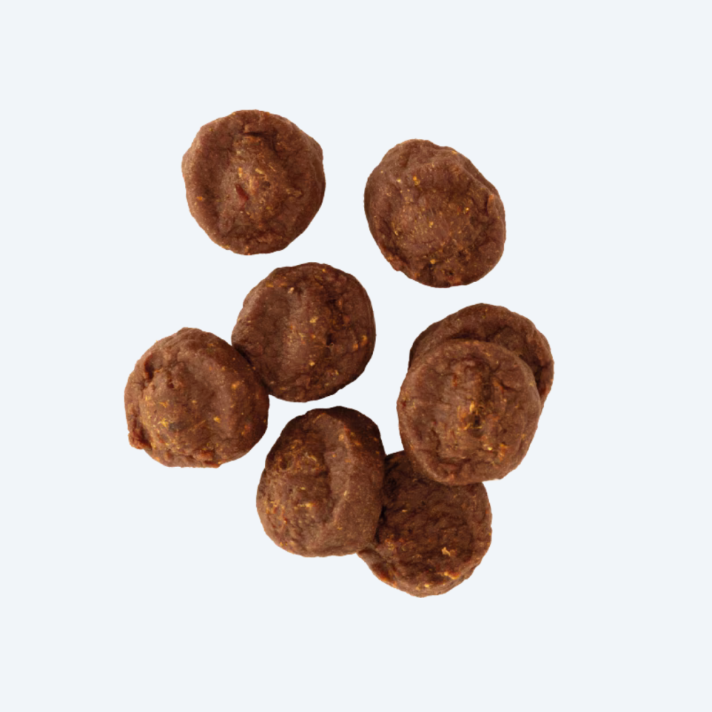 Ласощі для собак Terra Canis М'ясні шматочки курки Trekking Treats - to go NATURHUND
