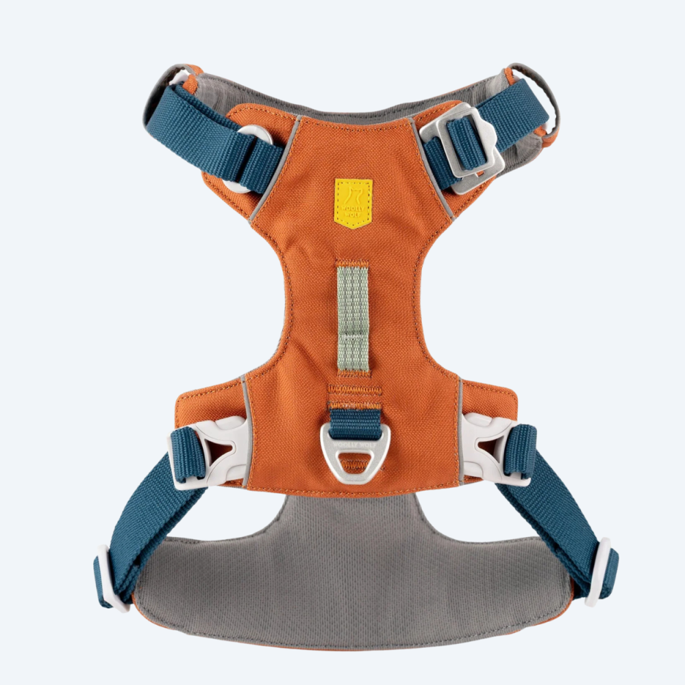 Шлея для собак Woolly Wolf Alpha 360 Terracotta Mix, XS