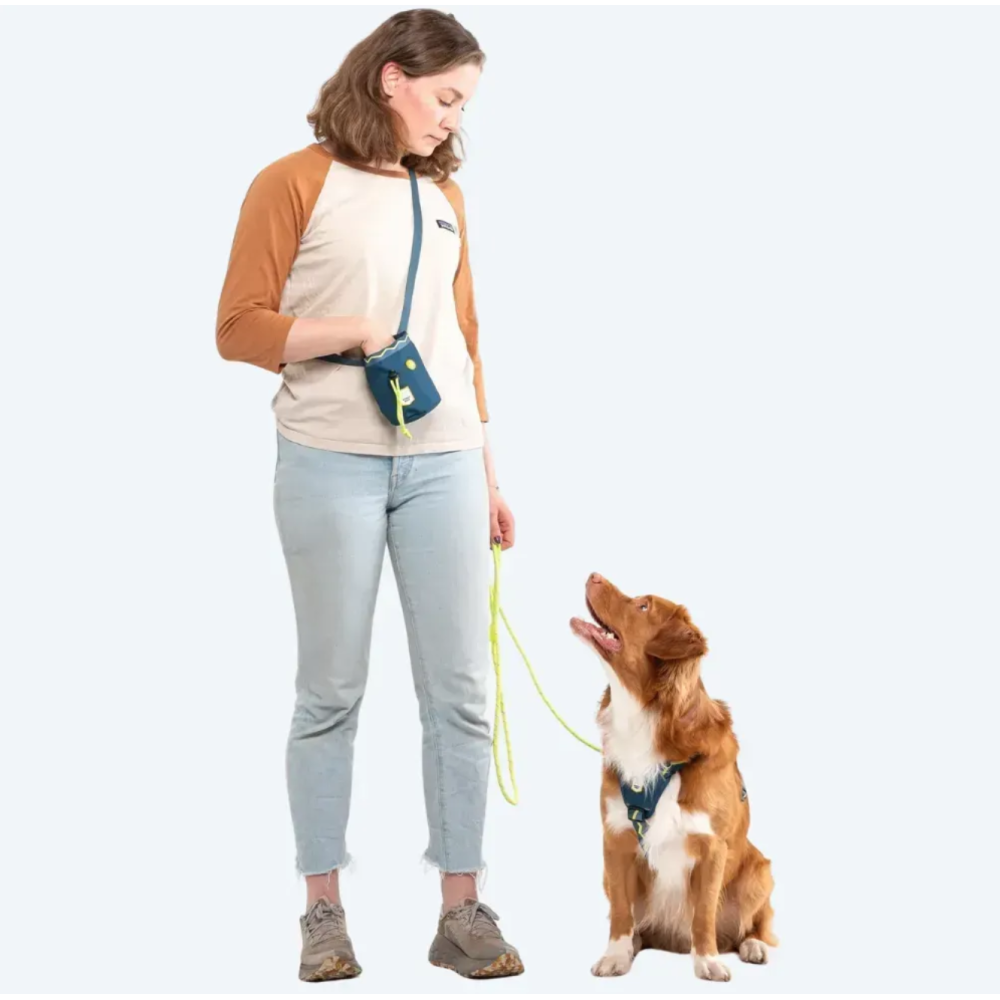 Сумка для ласощів Woolly Wolf Horizon Deep Teal Mix Bag