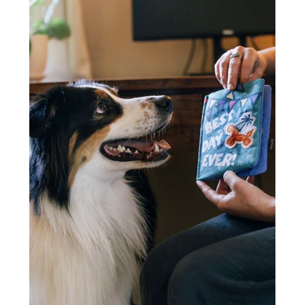 М'яка іграшка для собак PetPlay - Party Animals Birthday Card