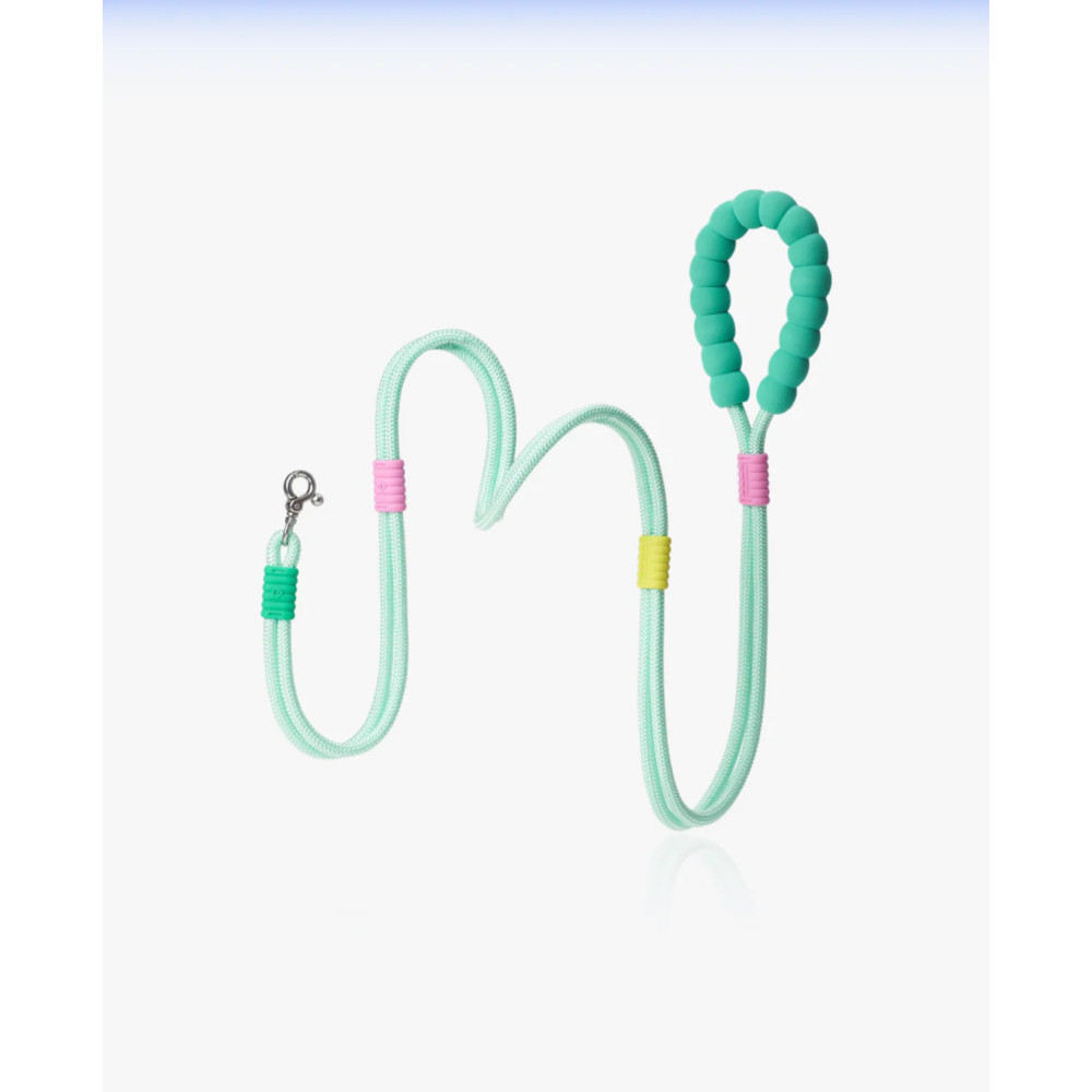 Повідець для собак Maogoublue MARSHMALLOW SMART DOG LEASH-MINT GREEN