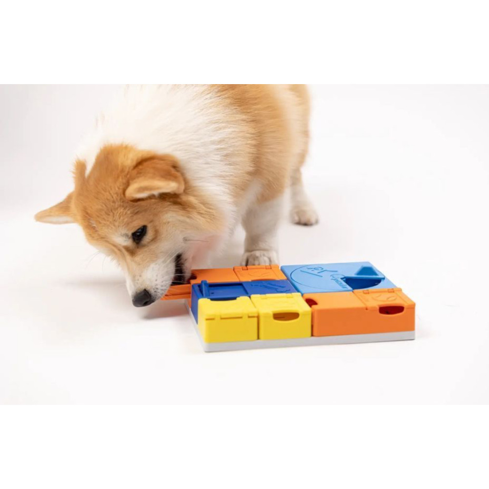 Розвиваюча іграшка для собак Pawzler Rainbow Set Mini
