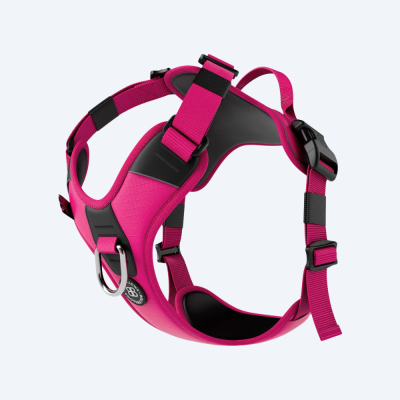 Шлея для собак BullyBillows Hurricane Harness Carminerose, A