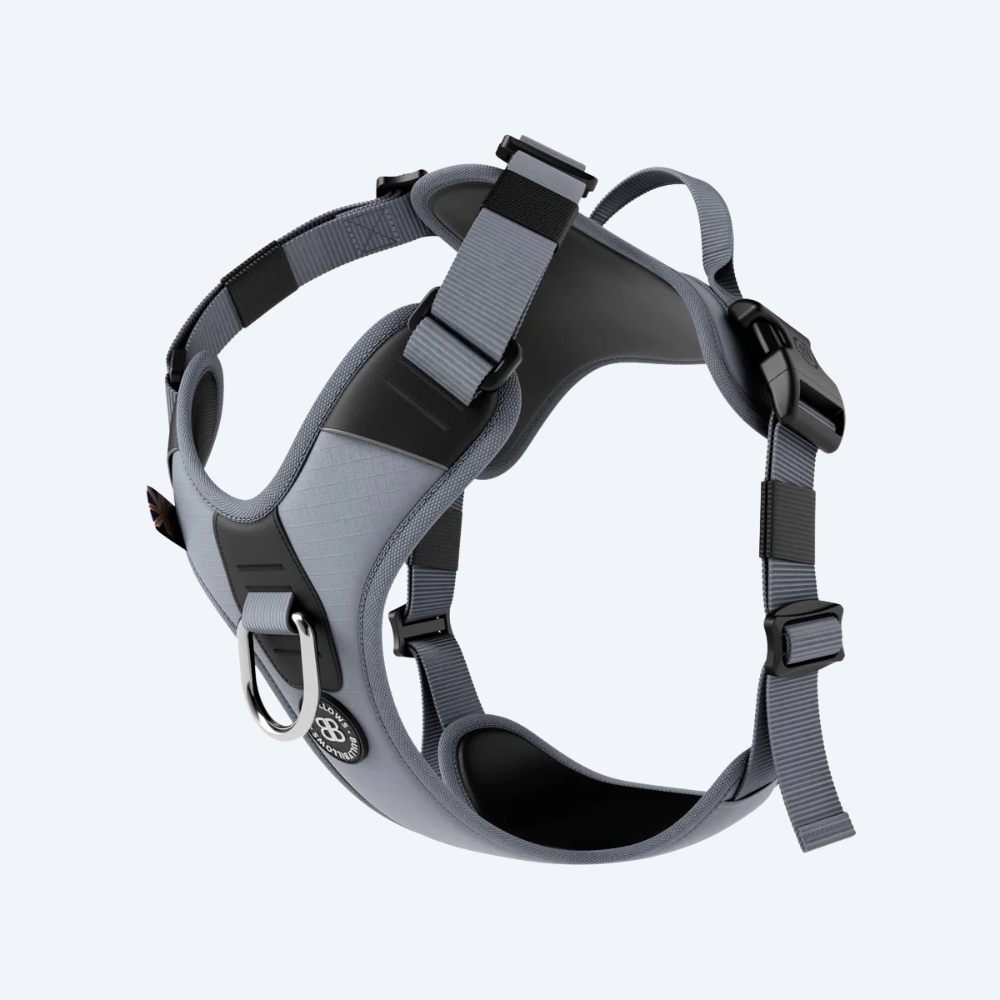 Шлея для собак BullyBillows Hurricane Harness Grey, A