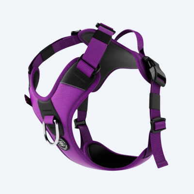 Шлея для собак BullyBillows Hurricane Harness - Purple , A