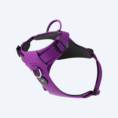 Шлея для собак BullyBillows Lightweight Mesh Air Harness Purple, A
