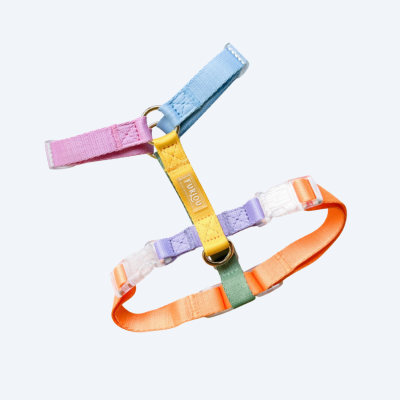 Шлея для собак FURLOU Rainbow, L