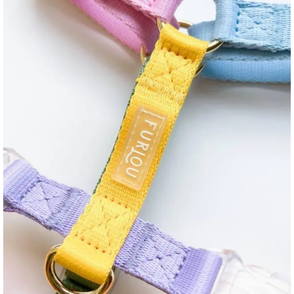 Шлея для собак FURLOU Rainbow, L