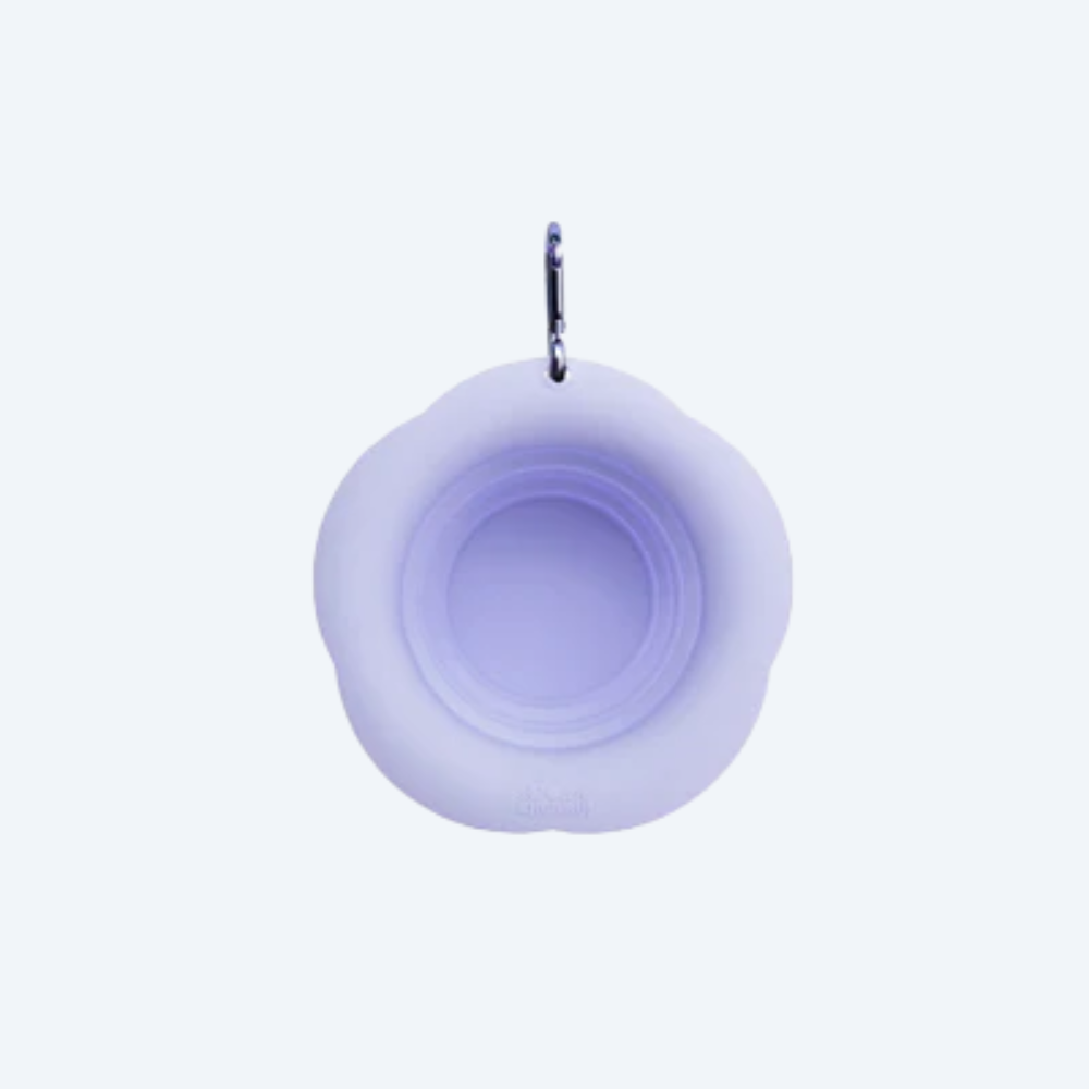 Складна миска для собак Maogoublue Misty Purple, 350мл
