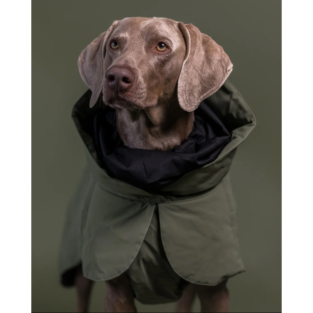 Тепла попона для собак Paikka Winter Jacket Green, 25