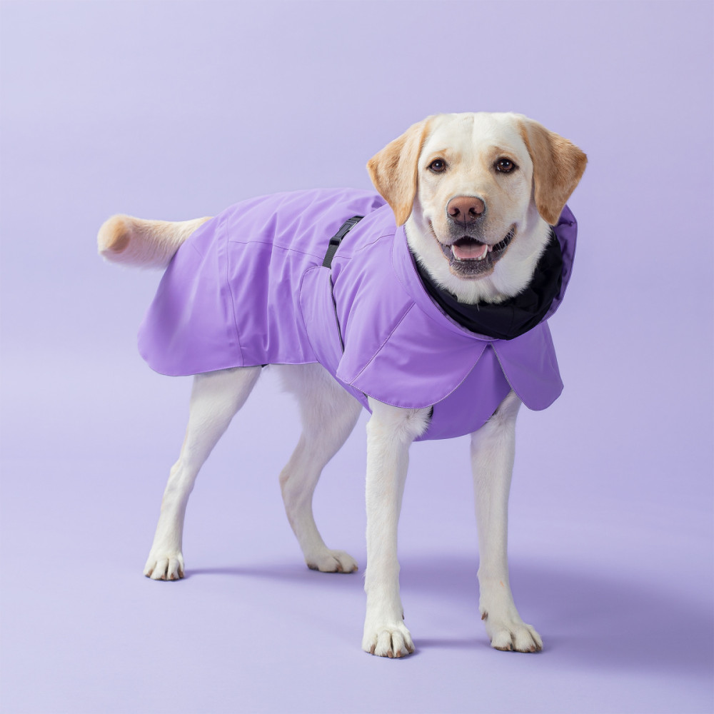 Тепла попона для собак Paikka Winter Jacket Lilac, 25