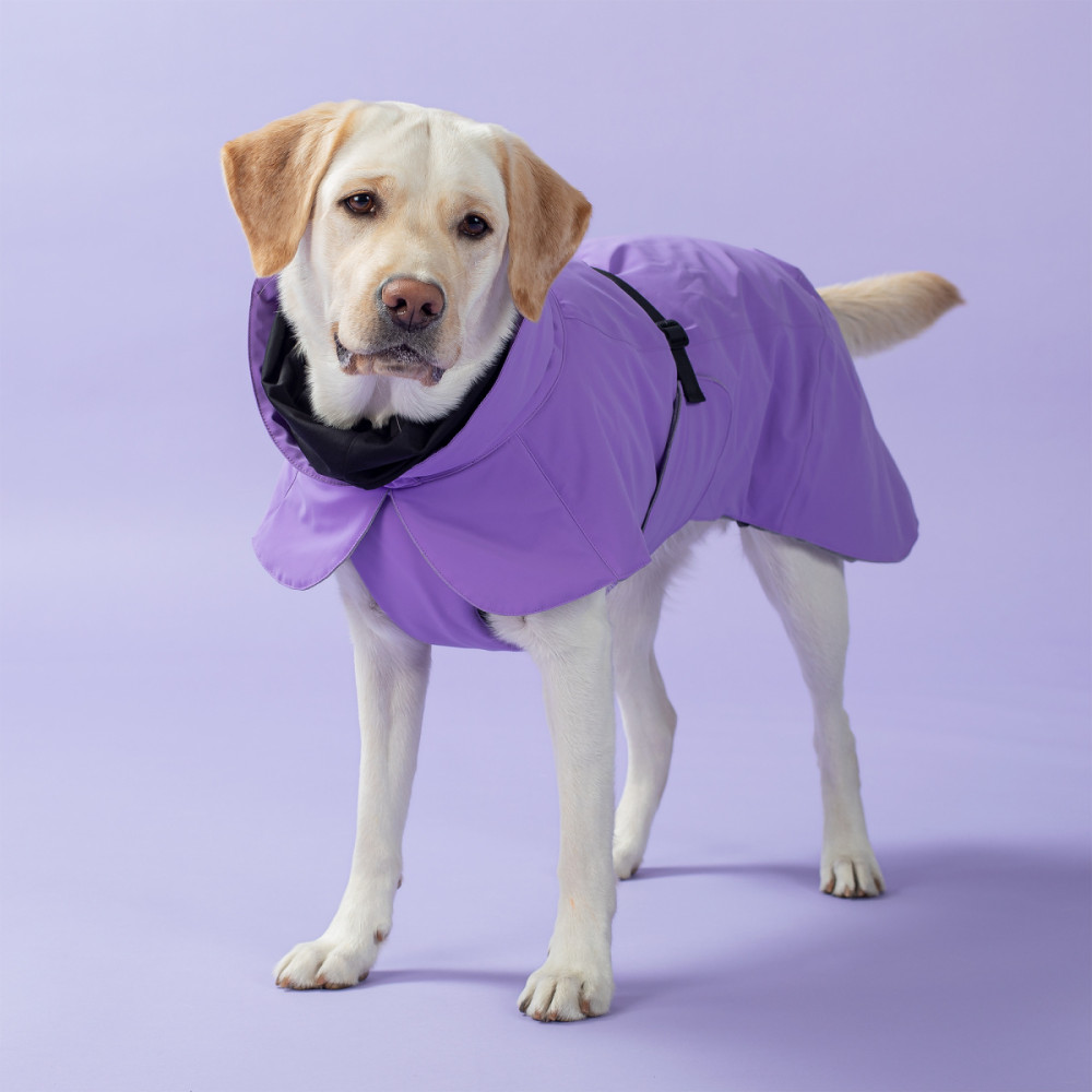 Тепла попона для собак Paikka Winter Jacket Lilac, 25