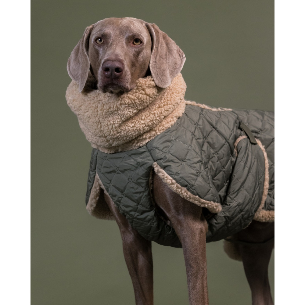 Тепла попона для собак Paikka Winter Sherpa Jacket Olive, 35