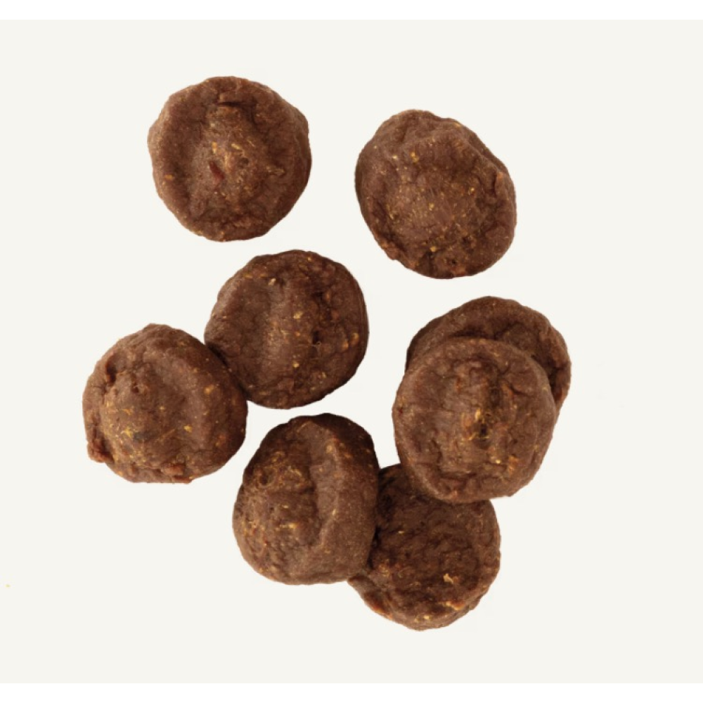 Ласощі для собак Terracanis М'ясні шматочки індички Trekking Treats - to go NATURHUND