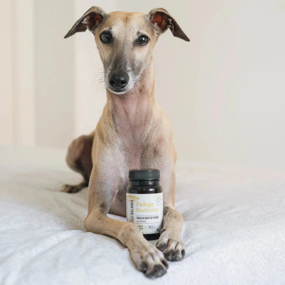 Капсули з риб’ячим жиром для собак та котів Wildbalance Mackerel, Sardine and Herring Oil Pearls 60шт
