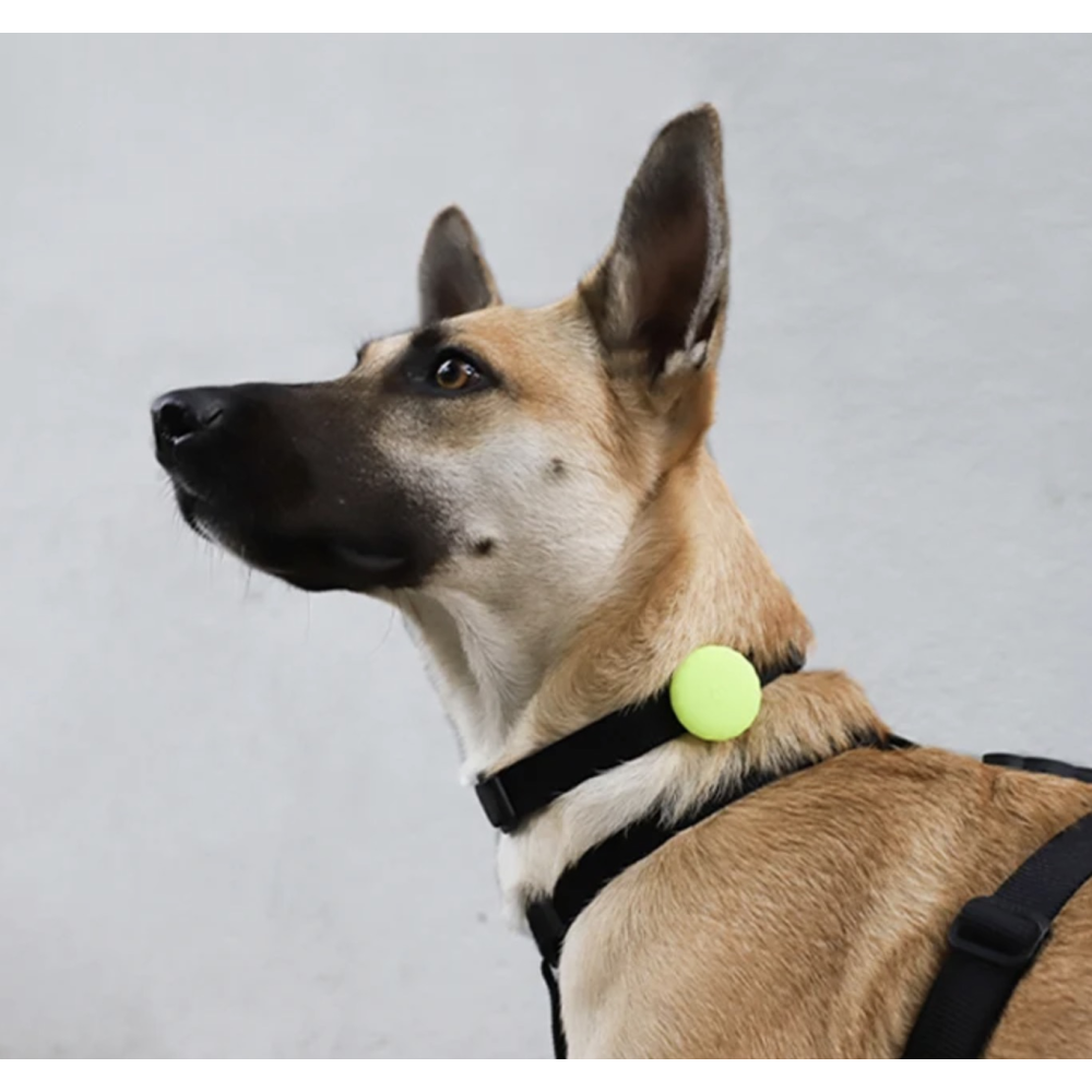 Держатель Zee Dog - Lime AirTag holder  - фото 2