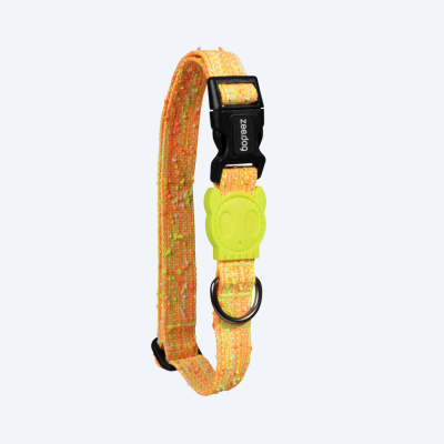 Нашийник для собак Zee.Dog - Fuse Bikr Boucle Collar, XS