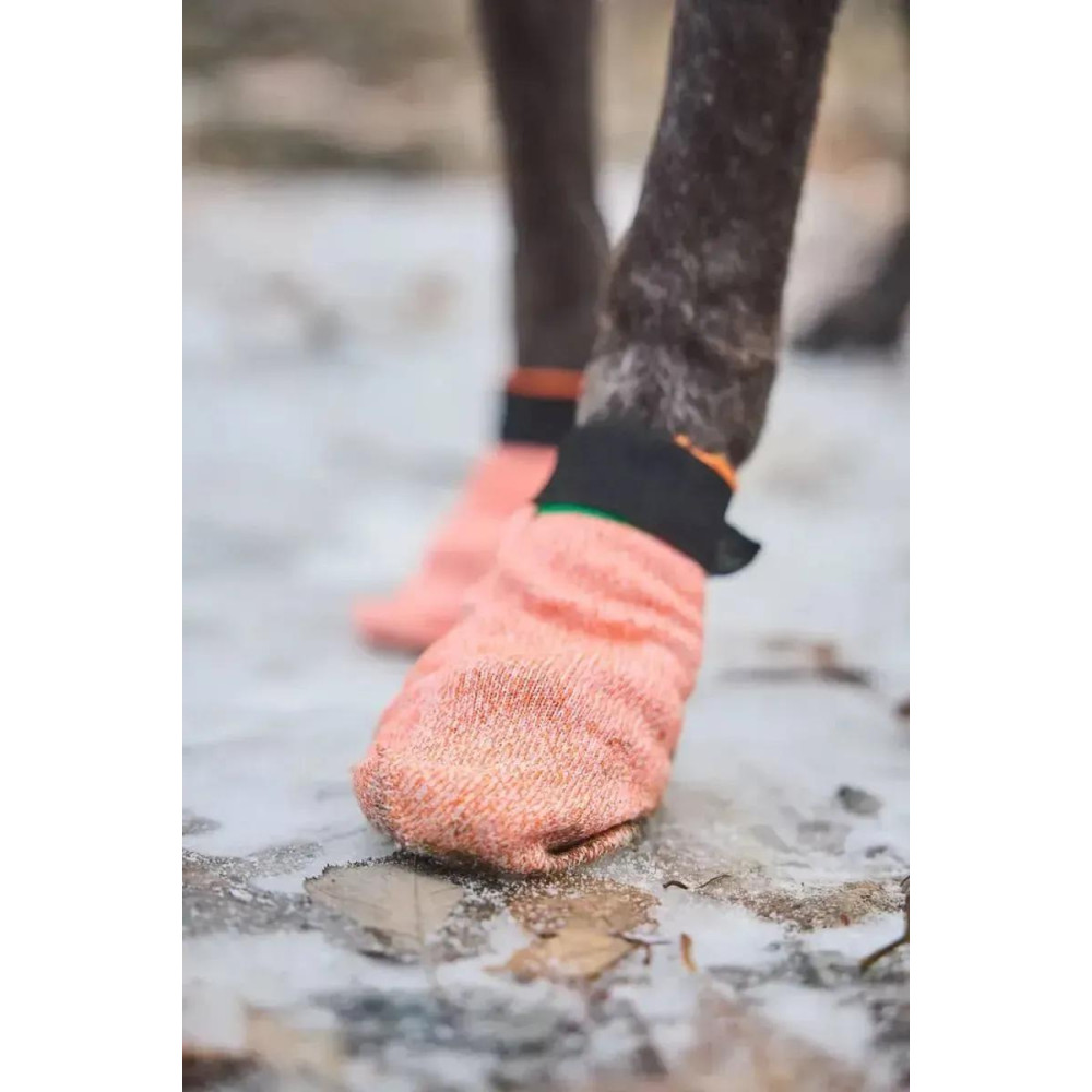 Шкарпетки для собак Protector light socks Non-stop dogwear Помаранчевий 4 Шт. S